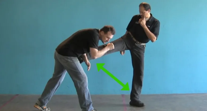 jeet kune do stanceに入る方法