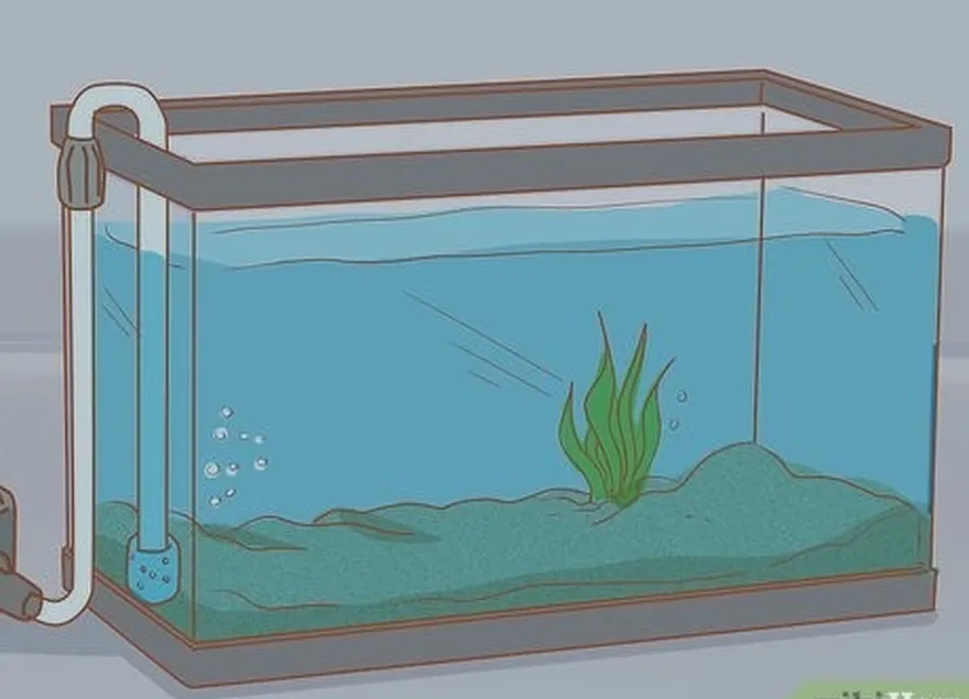 ステップ2水槽のライトをオフにします。