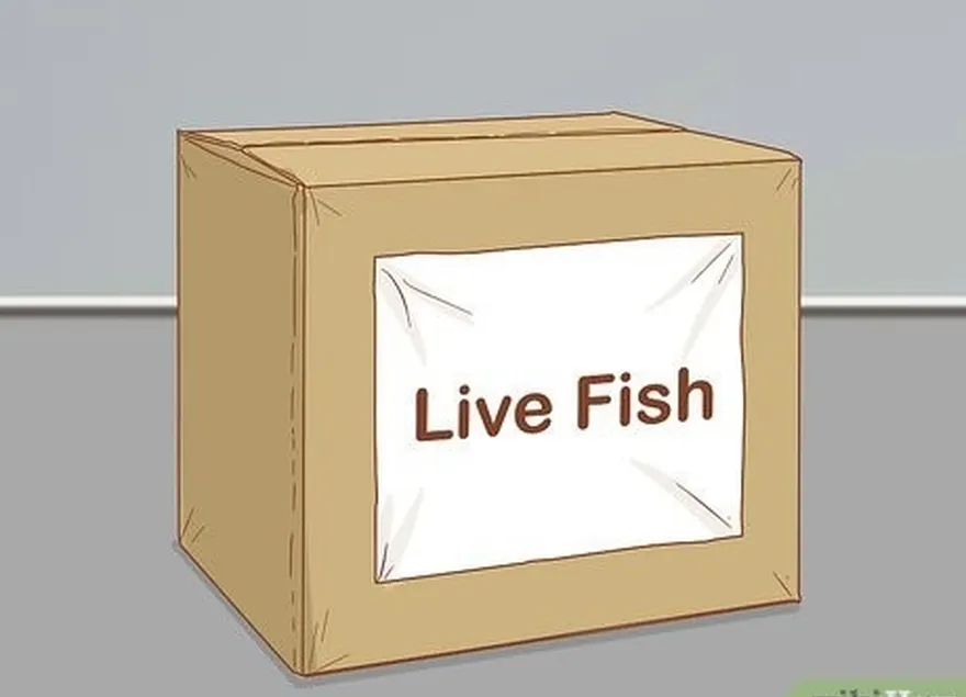 ステップ 4: 次のようなラベルを追加します。 fragile, live fish, and this side up to the box.