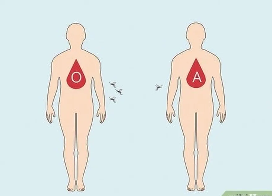 ステップ3蚊には血液型の好みがある場合があります。