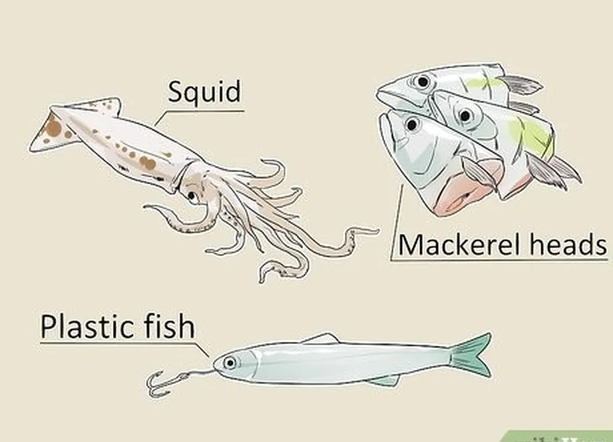 ステップ2オヒョウを引き付ける餌を選択します。