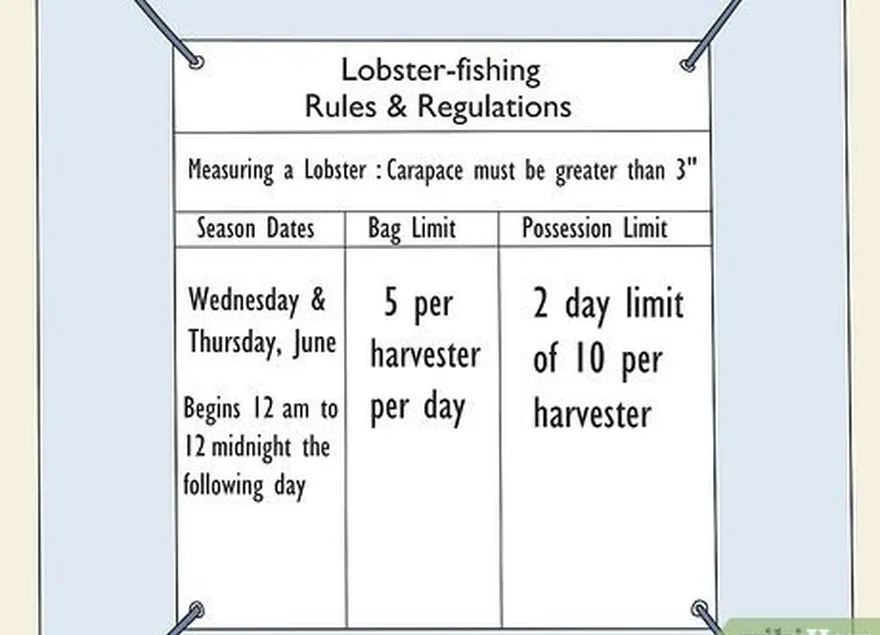 ステップ4ロブスター釣りの規則と規制に精通してください。