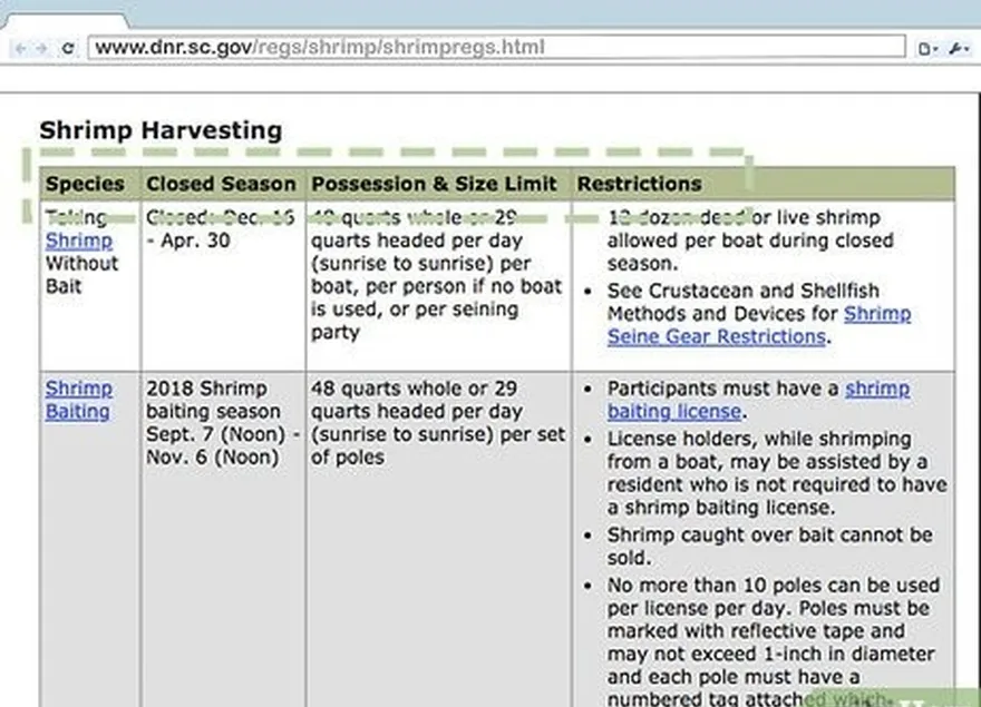 ステップ 3 オンラインで自分の状態を確認してください's shrimp catching regulations.