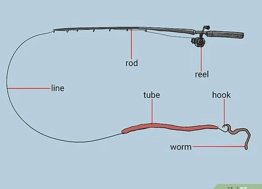 ステップ2チューブをチップします's hook with a live sandworm or herring strip.