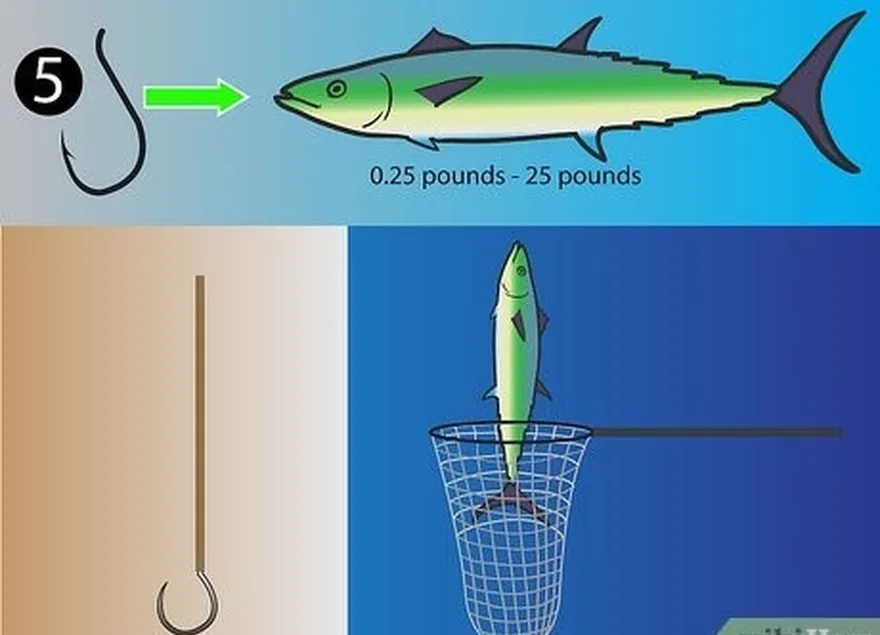 ステップ 1 さまざまな魚を釣るには、小さな針を使用します。