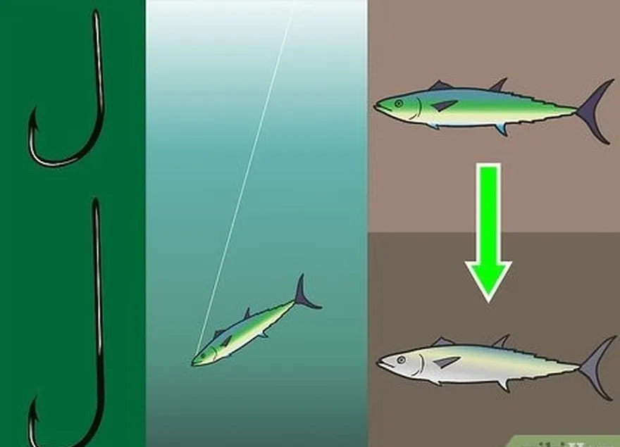 ステップ 3 強度を高めるためにショートシャンクフックを使用し、魚からフックを外しやすいようにロングシャンクフックを使用します。