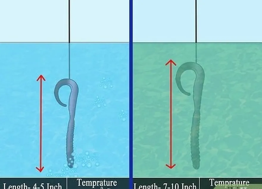 ステップ4水条件を調べます。