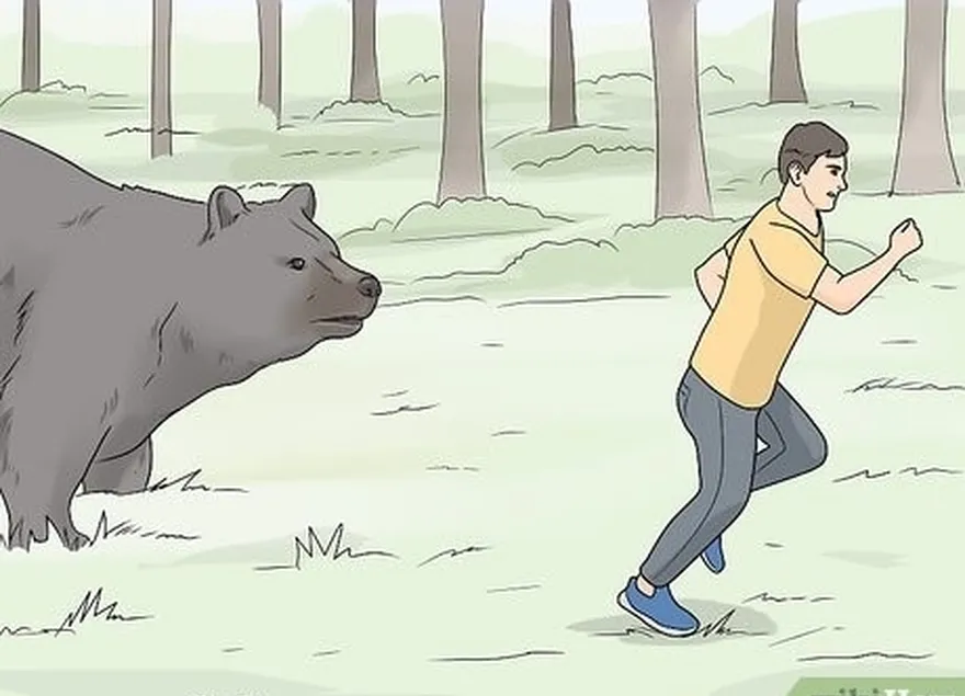 ステップ6あなたの場合に実行します're attacked by a black bear.