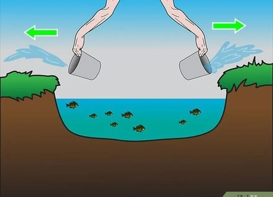 ステップ3容器を使用してプールから水を救う。