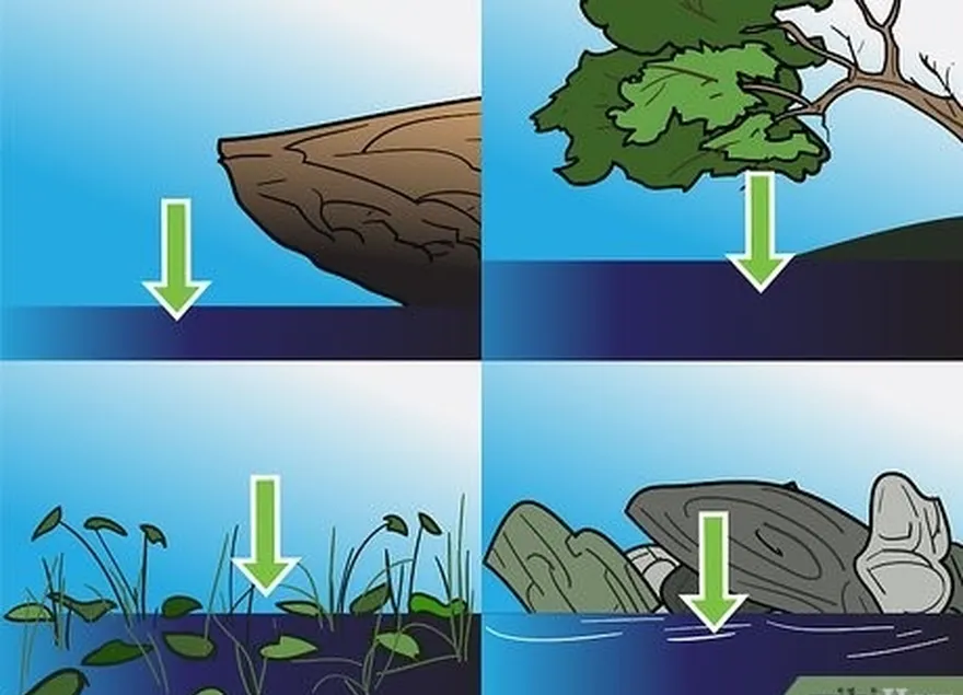 ステップ5即興演奏をぶら下げます  rod= and= hook= into= a= promising= location.=