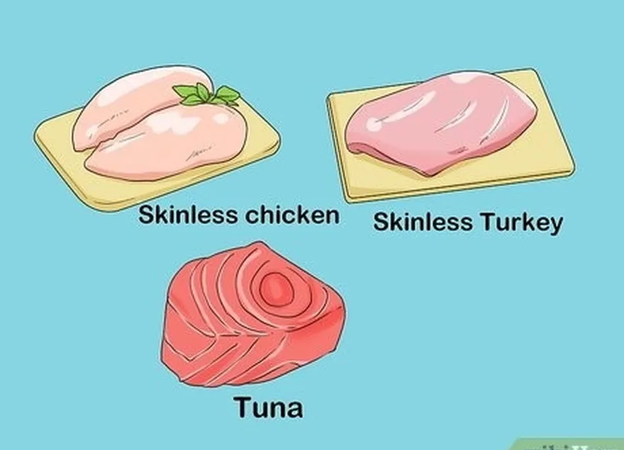 ステップ 3 食事に十分なタンパク質を含める