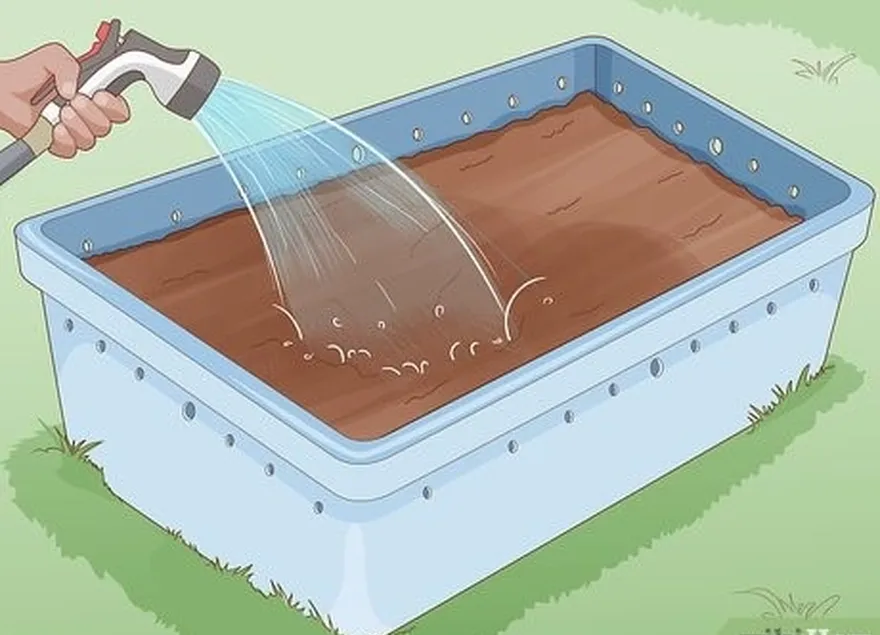 ステップ6土壌に十分な水を加えて、徹底的に湿らせます。