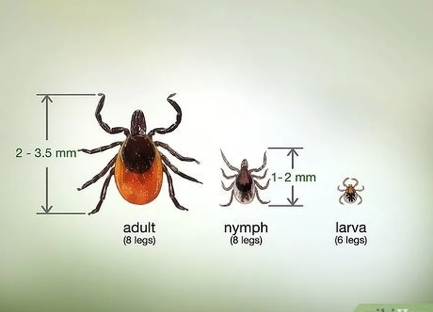 ステップ2それを確認します's a tick.