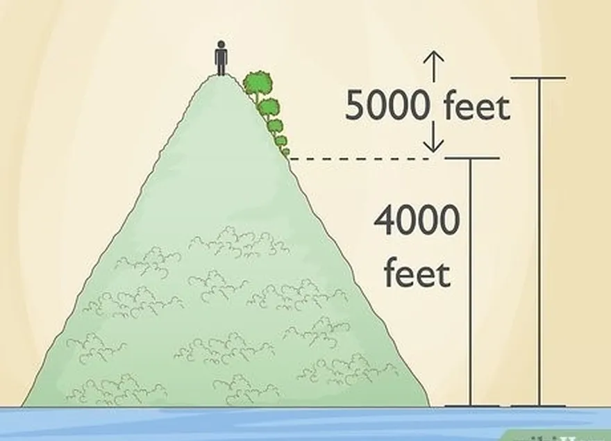 ステップ 3 次のような場合は、毒ウルシに注意してください。're at a low elevation.