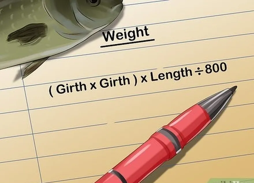 ステップ3魚を計算します's weight once you have the length and girth.