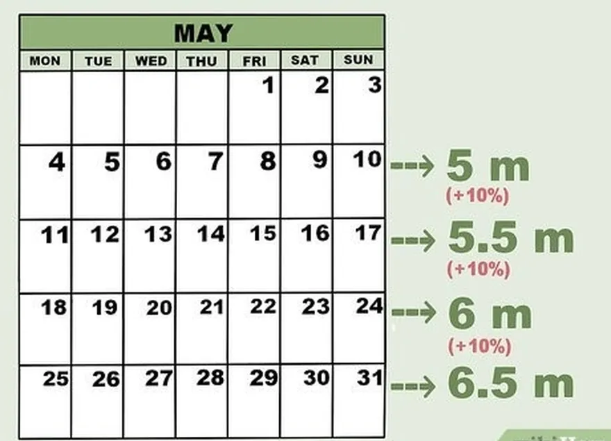 ステップ3ランの距離を毎週10％増やします。