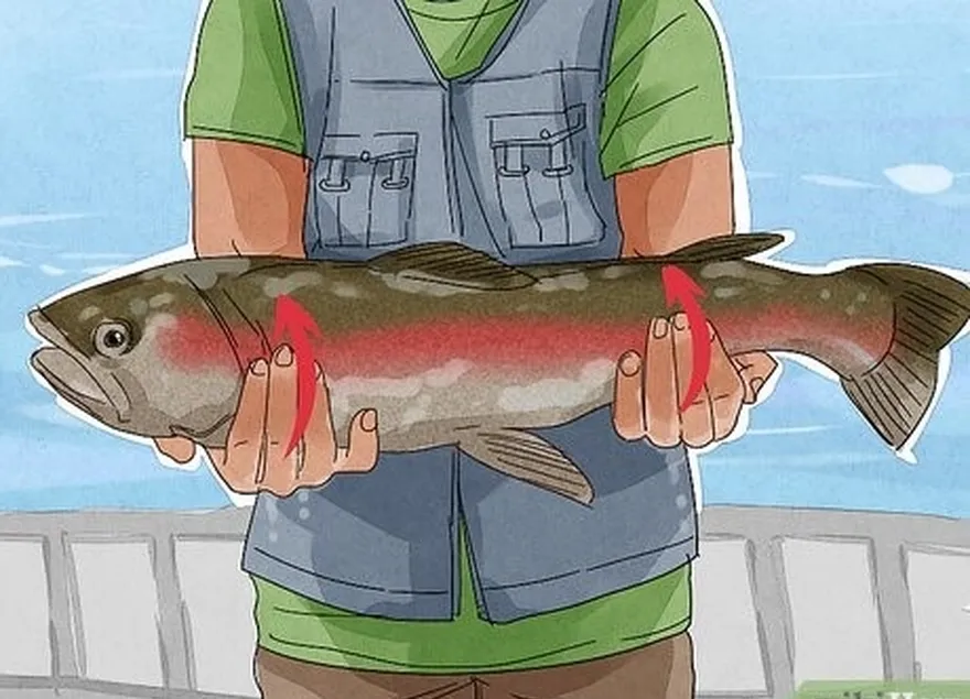 ステップ2は、魚をしっかりと保持して、自由にくねくねできないようにします。