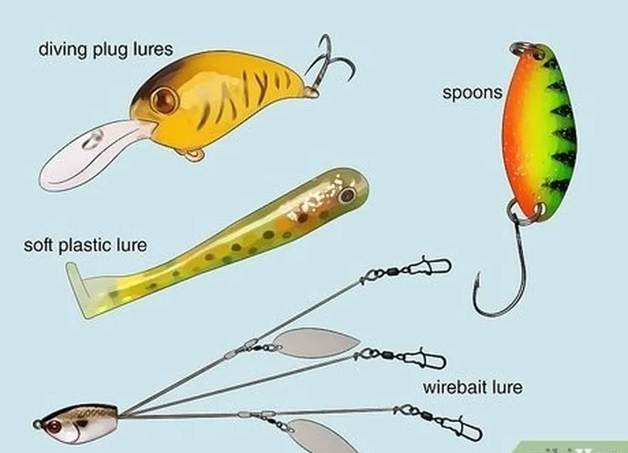 ステップ4いくつかの一般的なタイプのルアーの使用を理解します。